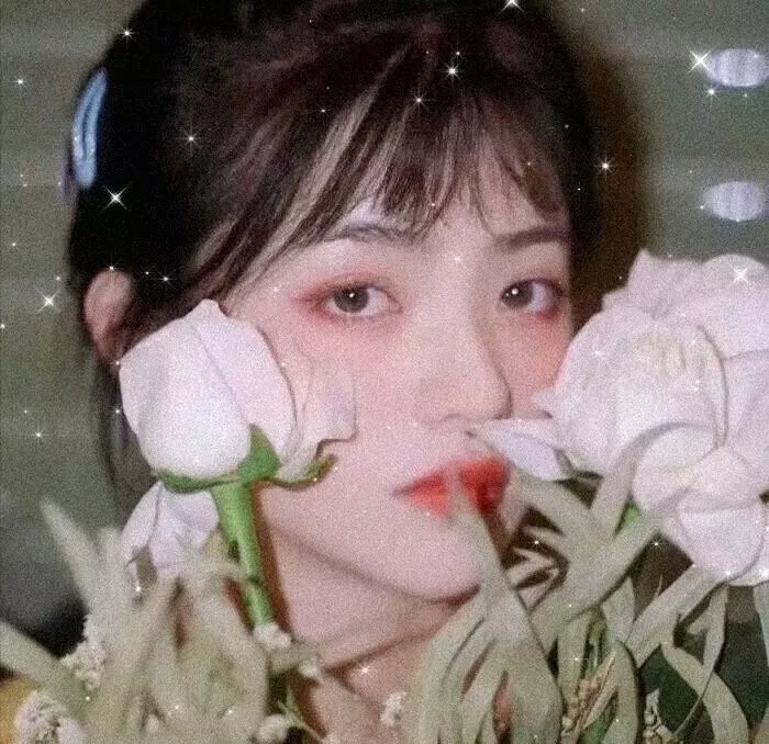 精武风云.陈真
